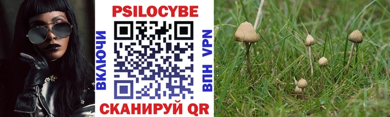 Галлюциногенные грибы GOLDEN TEACHER  Шарыпово 